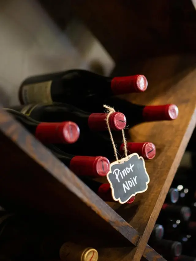 Landon wine bottles in wall shelves